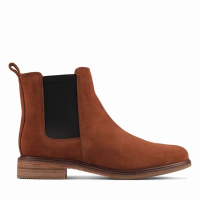 Bottes Clarks Clarkdale Arlo Femme Marron | DHZ9GL3M