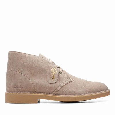 Bottes Clarks Desert Evo Homme Marron | ANWT2LDE