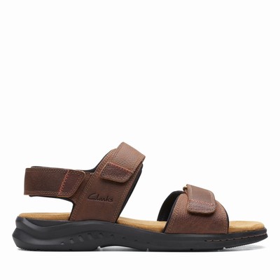 Sandales Clarks Hapsford Creek Homme Marron | RWSYSXJV