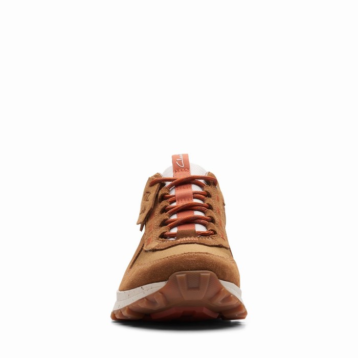 Baskets Clarks ATL Trek Walk Imperméables Homme Marron | 3ODANTYV