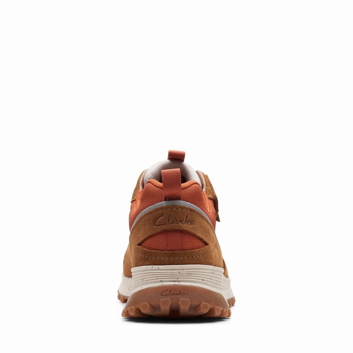 Baskets Clarks ATL Trek Walk Imperméables Homme Marron | 3ODANTYV