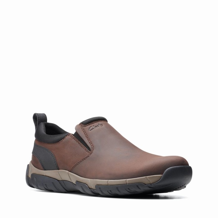 Baskets Clarks Grove Step Homme Marron | L63VQWED