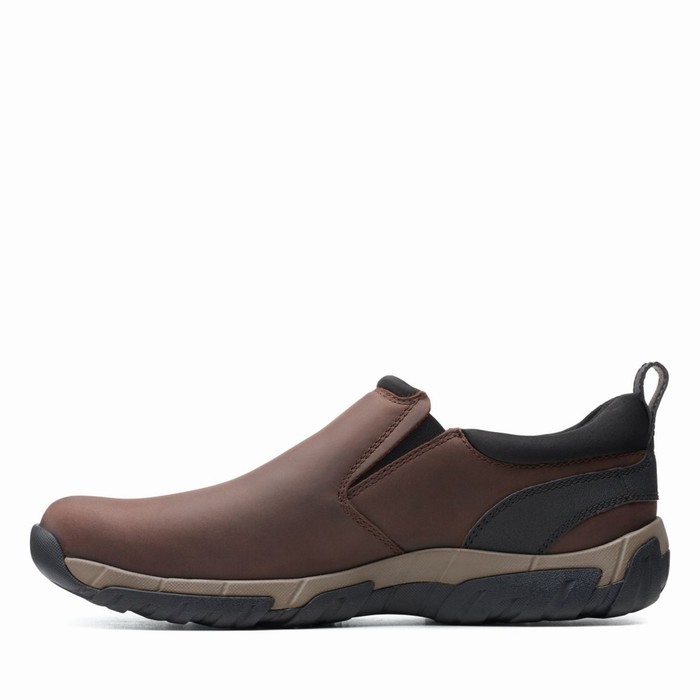 Baskets Clarks Grove Step Homme Marron | L63VQWED