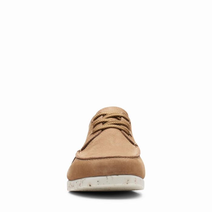 Baskets Clarks Shacre Lite Low Homme Marron Foncé | ZBNIVLAU