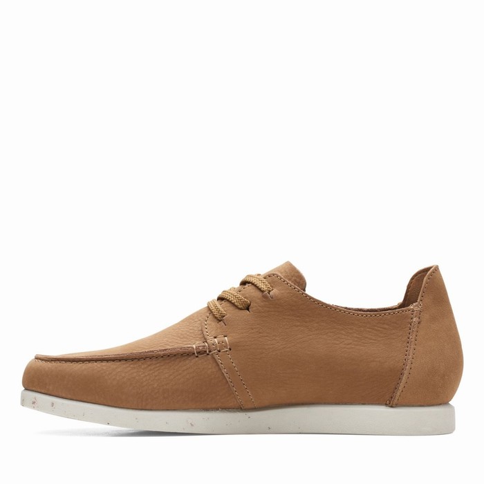 Baskets Clarks Shacre Lite Low Homme Marron Foncé | ZBNIVLAU