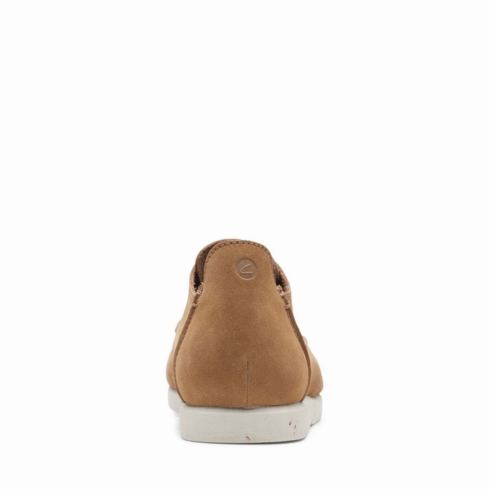 Baskets Clarks Shacre Lite Low Homme Marron Foncé | ZBNIVLAU