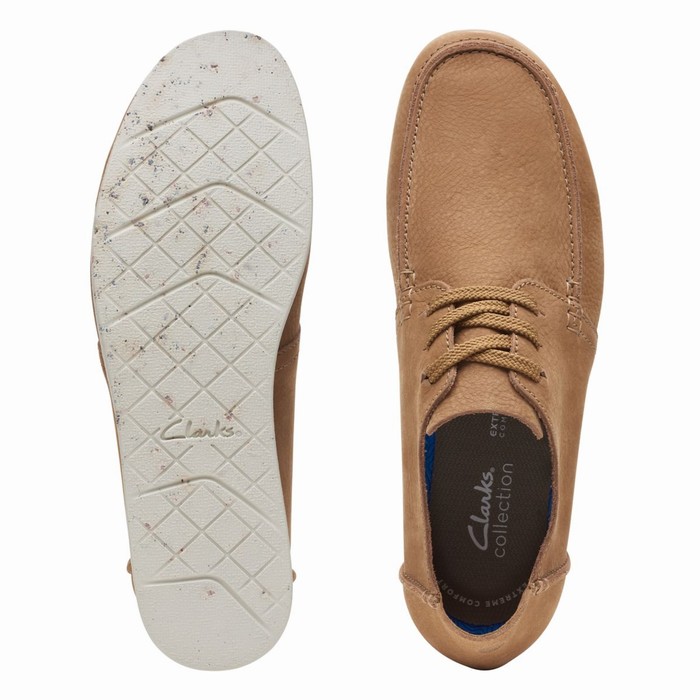 Baskets Clarks Shacre Lite Low Homme Marron Foncé | ZBNIVLAU