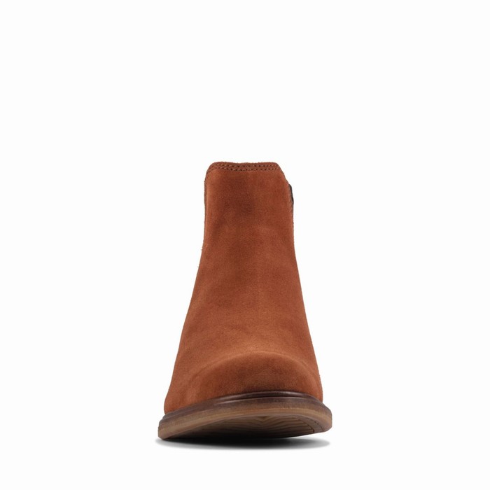 Bottes Clarks Clarkdale Arlo Femme Marron | DHZ9GL3M