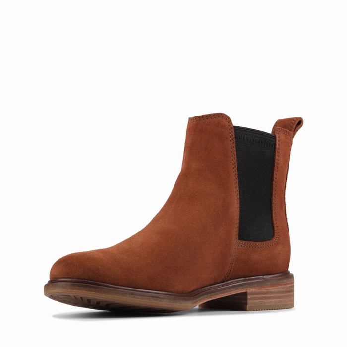 Bottes Clarks Clarkdale Arlo Femme Marron | DHZ9GL3M