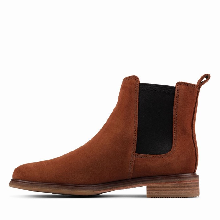 Bottes Clarks Clarkdale Arlo Femme Marron | DHZ9GL3M