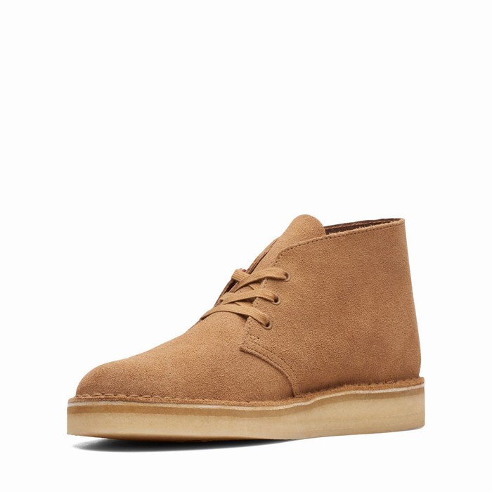 Bottes Clarks Desert Coal Homme Marron Foncé | 7KII5H0D