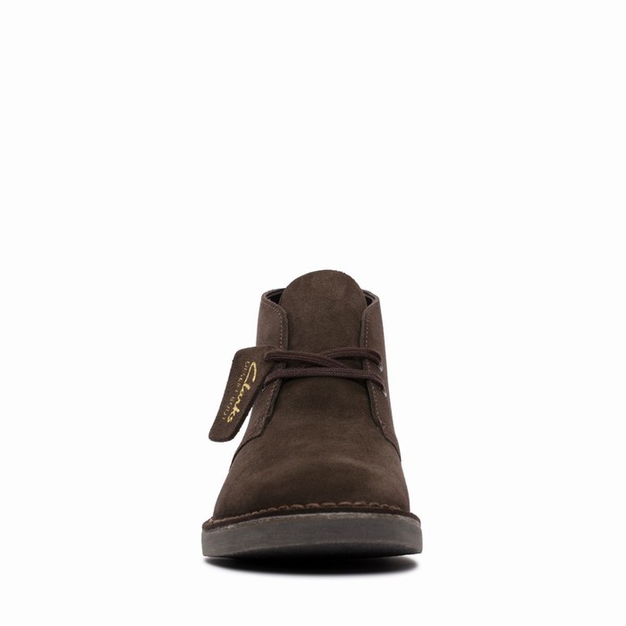 Bottes Clarks Desert Evo Homme Marron Foncé | RSBFIDQZ