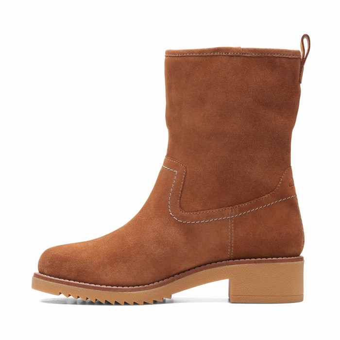 Bottes Clarks Eden Mid Hi Femme Marron Foncé | 9HEABXEB