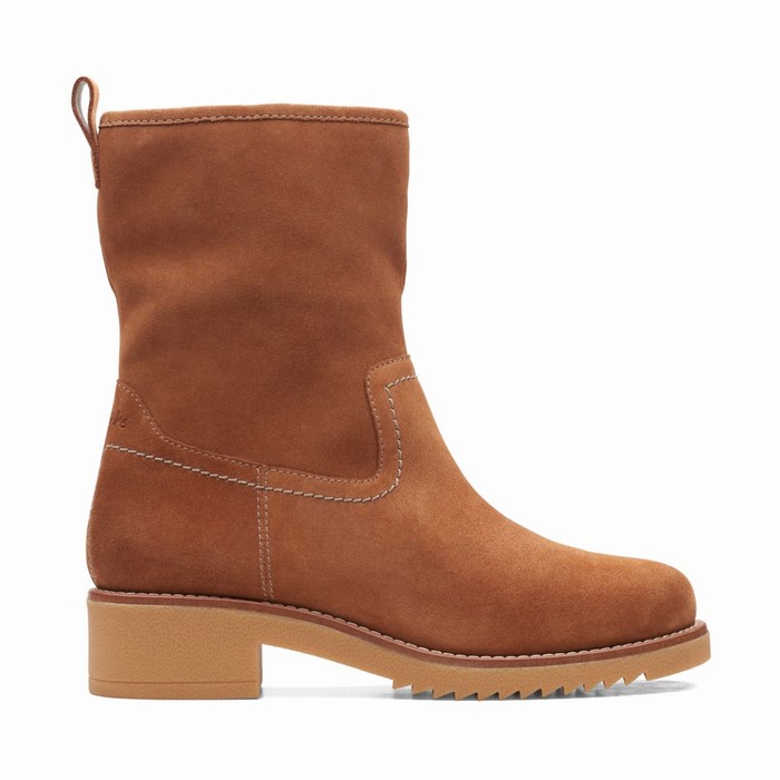 Bottes Clarks Eden Mid Hi Femme Marron Foncé | 9HEABXEB