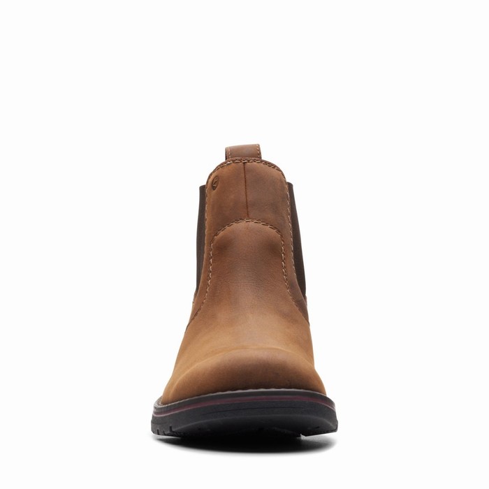 Bottes Clarks Morris Up Homme Marron Foncé | GYXU28T5