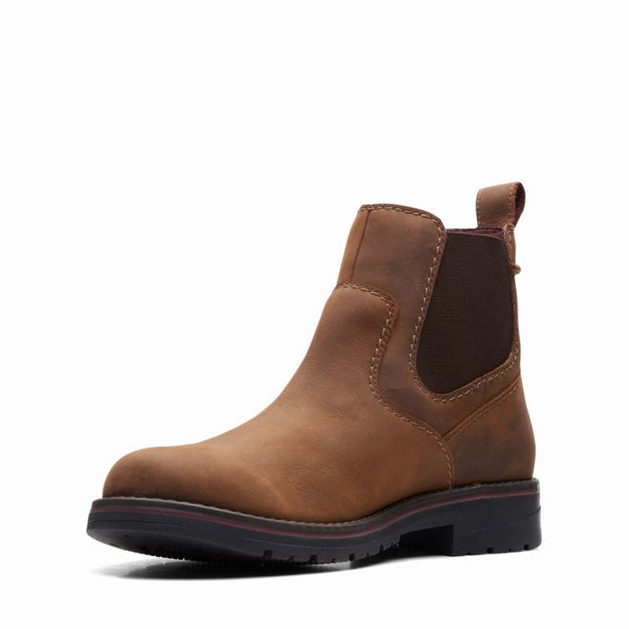 Bottes Clarks Morris Up Homme Marron Foncé | GYXU28T5