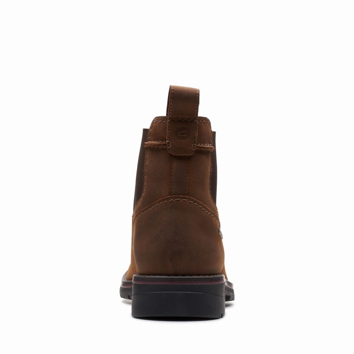 Bottes Clarks Morris Up Homme Marron Foncé | GYXU28T5