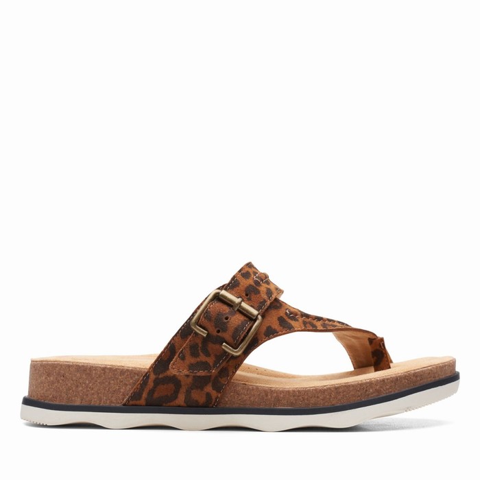 Sandales Clarks Brynn Madi Femme Leopard | JSDY2T9P