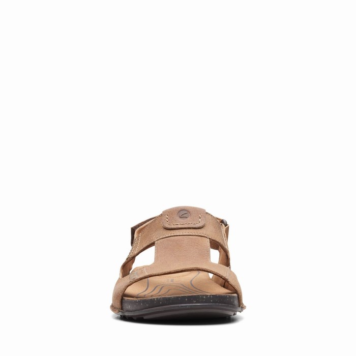 Sandales Clarks Crestview Bay Homme Marron Foncé | MVGOW9QF