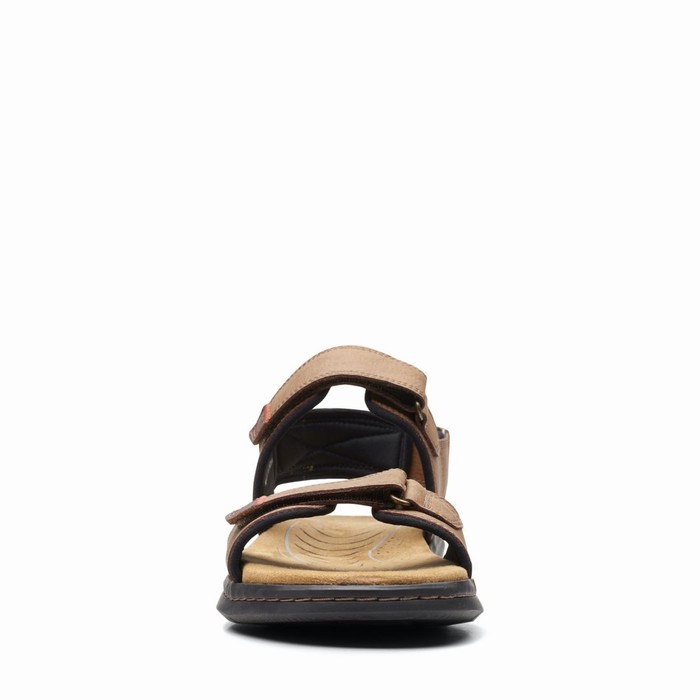 Sandales Clarks Hapsford Creek Homme Marron | 42PHBEZS