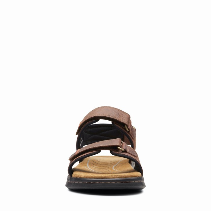 Sandales Clarks Hapsford Creek Homme Marron | RWSYSXJV