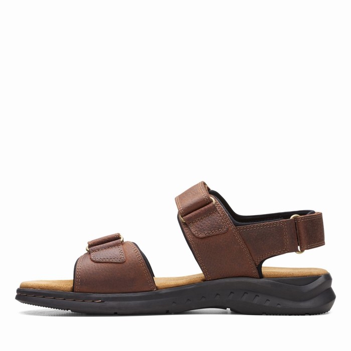 Sandales Clarks Hapsford Creek Homme Marron | RWSYSXJV