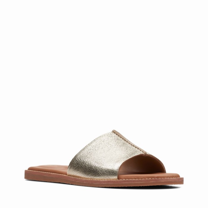 Sandales Clarks Karsea Mule Femme Argent Marron | N2ICNZ4E