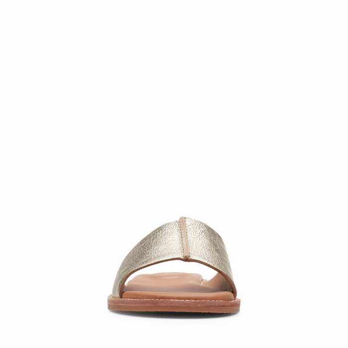 Sandales Clarks Karsea Mule Femme Argent Marron | N2ICNZ4E