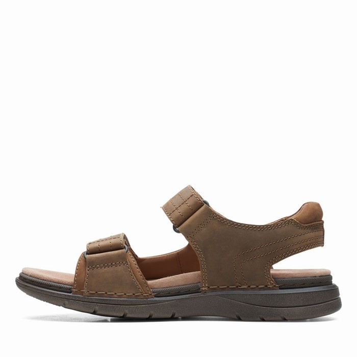 Sandales Clarks Nature Trek Homme Marron | OBDM16NK