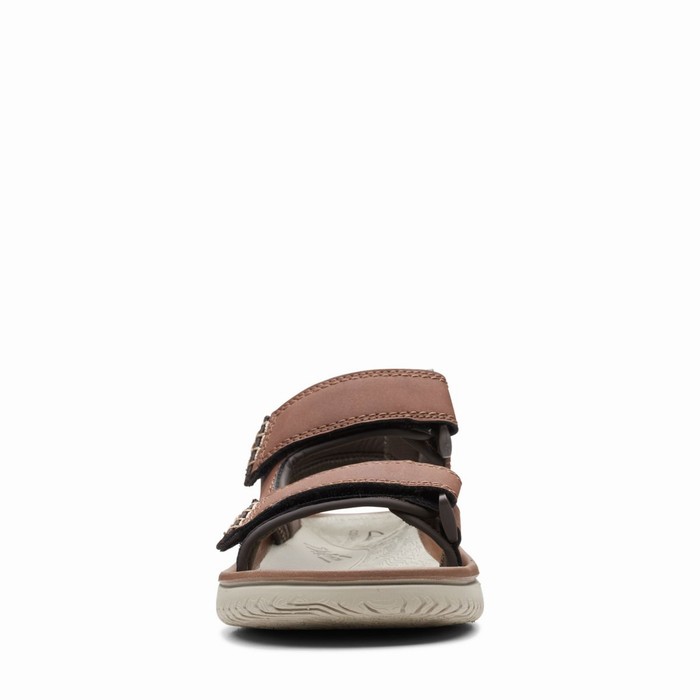 Sandales Clarks Wesley Bay Homme Marron | BRIEAN7E